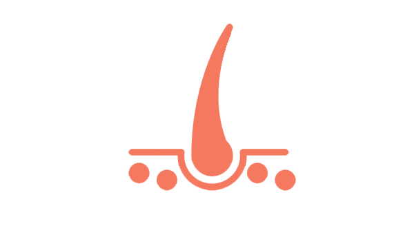 Skin and Hair Service