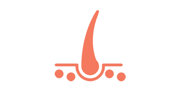Skin and Hair Service